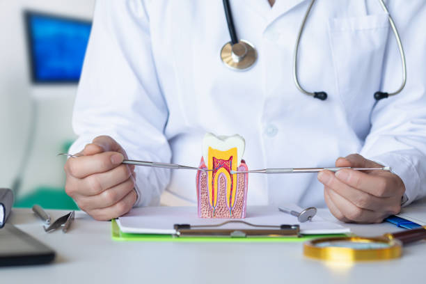 Best Knocked-Out Tooth (Avulsed Tooth) Treatment in Port Dickinson, NY